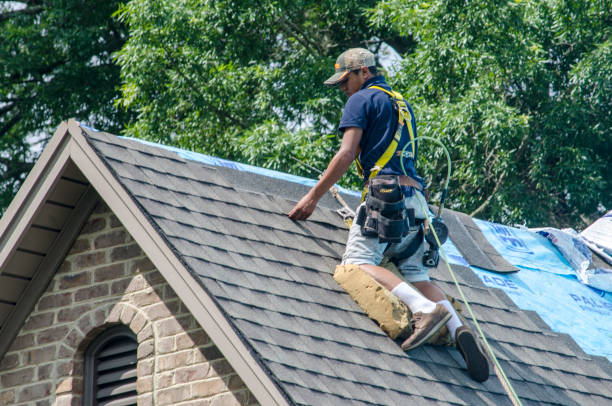 Best Storm Damage Roof Repair  in New Wilmington, PA